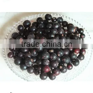 IQF Frozen Balck Currant Hot Sale 2015 thumbnail-5