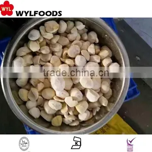 Chinese Frozen Chestnut Kernel thumbnail-4