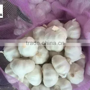 Nuisanceless Dried Pure White Garlic thumbnail-1