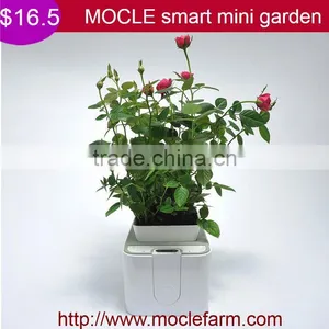 Plastic Gallon Pot thumbnail-1