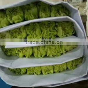 Best Price Fresh Carnation Flowers for Sell thumbnail-2