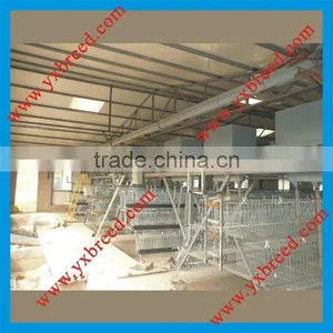 Feeder Machine thumbnail-1
