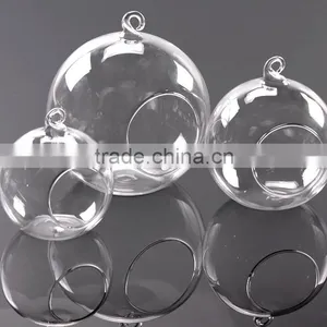 Micro Landscape Ecological Glass Bottles Meaty Plant Glass Vase DIY Glass Bottles Moss 16L001 thumbnail-1