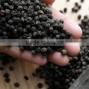 Selling Black Pepper Import Vietnam at Cheap Price thumbnail-6