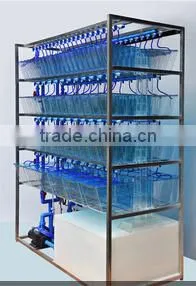 Laboratory Zebarfish Rack System thumbnail-1