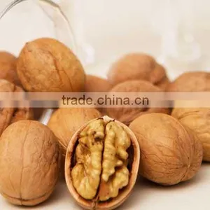 Green Walnut Wet Decorticator thumbnail-6