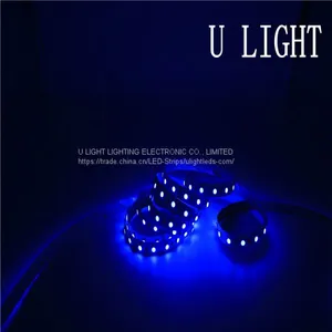 12V 24V LED Flex Ribbon Strip Light Waterproof for Landscape Decoration thumbnail-2