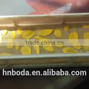 Tropical Food Machinery Mango Processing thumbnail-3