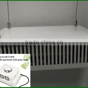 Cob Led Grow Light Lamp 150w Small Grow Lamp for Grow Tent thumbnail-4