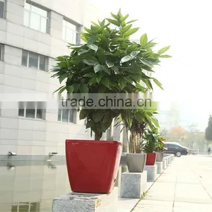 Self Watering Square Flower Pots,flower Vase,flowerpot,planter Pot thumbnail-1