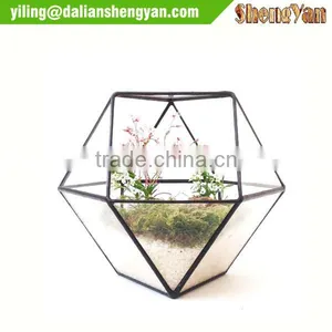 Large Glass Geometric Terrarium Container Wholesale thumbnail-2