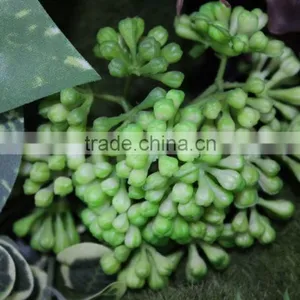 Fake Wall Indoor/ourdoor Manufacturer (80X80cm) Artificial Living Wall thumbnail-3