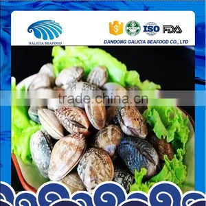 Vacuum Packed Short Necked Clam Size 51-60 thumbnail-1