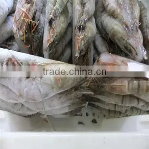 Hgh Quality Frozen Headless Black Tiger Shrimp thumbnail-1