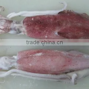 Frozen Whole Round Squid/ Frozen Squid/ Vietnam Seafood thumbnail-6