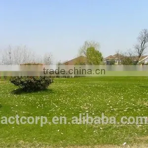Auben Landschaftsbau Kunstrasen Made In China ACTLS-0050 thumbnail-1