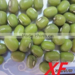 China Green Mung Bean Organic thumbnail-1