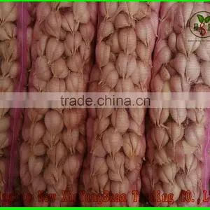 (NEW) 2015 FRESH Garlic/New Garlic;HOT! HOT! HOT! thumbnail-2