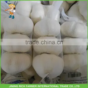 Fresh Garlic Normal White Wholesale Market thumbnail-1