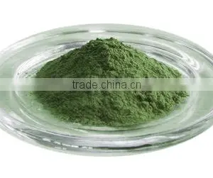 Best Quality Cissus Quadrangularis Powder Sale thumbnail-6