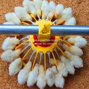 Automatic Poultry Feeder Chicken Animal Feeders System for Poultry Farm Equipment thumbnail-1