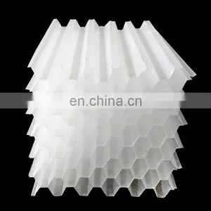 Vietnam Market 1m*1m White Color Lamella Plate PP Tube Settler Media thumbnail-2