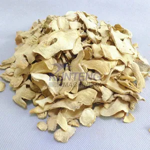 Heat Hump Ginger Dryer Mesh Belt Drying Machine Turmeric Continuous Onion Drying Equipment Dehydrator EPC thumbnail-2