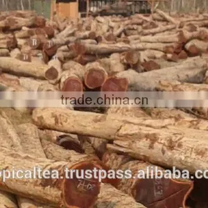 Round Logs Cam xe Pyinkado Cambodia Wood thumbnail-2