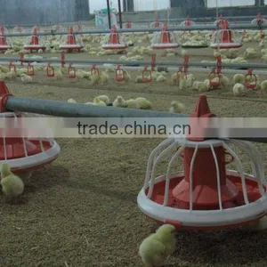 Broiler Farm House and Equipments thumbnail-5