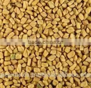 High Quality Fenugreek Natural Essential Oil thumbnail-1