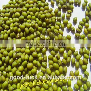 Mung Beans for Food Grade thumbnail-5