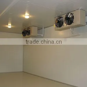 Used pu Sandwich Panel Cold Storage for Fruit and Vegetable thumbnail-4