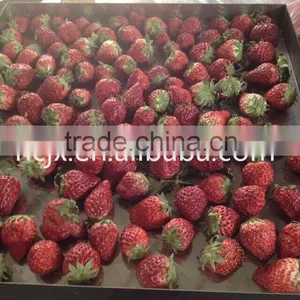 Vacuum Freeze Dryer for Food thumbnail-4