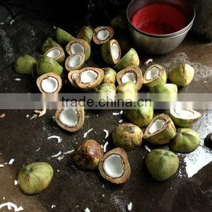 Coconut Water Cutting Machine thumbnail-1