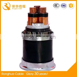 11KV 70mm2 XLPE Insulated Single Core Powe Cable YJLSV thumbnail-2