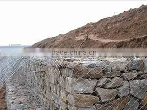 High Quality PVC Coated Gabion Mesh / Gabion Baskets China Factory thumbnail-6