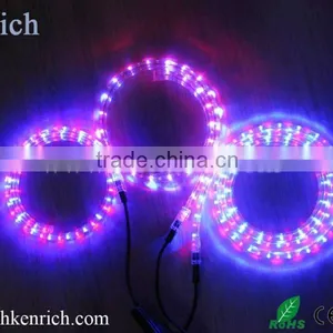 2 Wire Led Rope With CE/Rohs Certified thumbnail-1