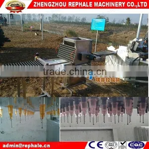 Hot Pepper Seed Planter Form Zhengzhou REPHALE Machiney thumbnail-2