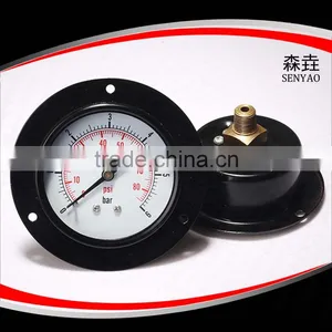 Front Flange Mounted Pressure Gauge en 837-1 thumbnail-1