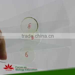 Microscope Prepared Slides ,MEDICAL PARASITOLOGY Slides, Prepared Slides thumbnail-2