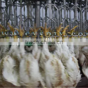 Slaughter Machine /slaughtering Hanger thumbnail-1