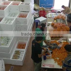 Fresh Mango Plum thumbnail-2