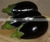 Eggplant thumbnail-1