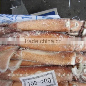 Frozen Illex Argentina Squid 100-150g thumbnail-5