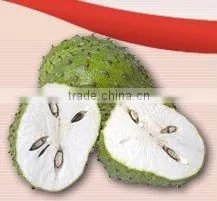 Aseptic Sour Sop (Guyabano) Puree thumbnail-1