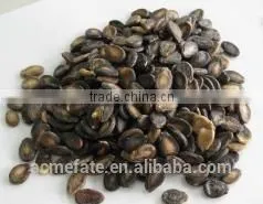 Black Watermelon Seeds B Grade in Low Price thumbnail-6