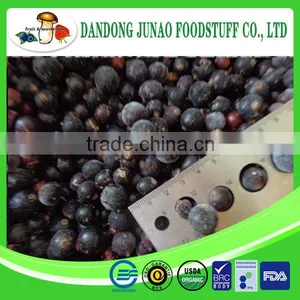 China Wild Cultivated Frozen Fruit Iqf Black Currant thumbnail-1