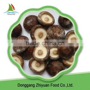 Chinese Low Price Frozen Cutting Quarter Shiitake Mushrooms thumbnail-4