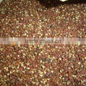 Pericarpium Zanthoxyl thumbnail-5