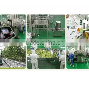 VF Stringliess Green Bean, VF Vegetables and Fruits Chips thumbnail-4